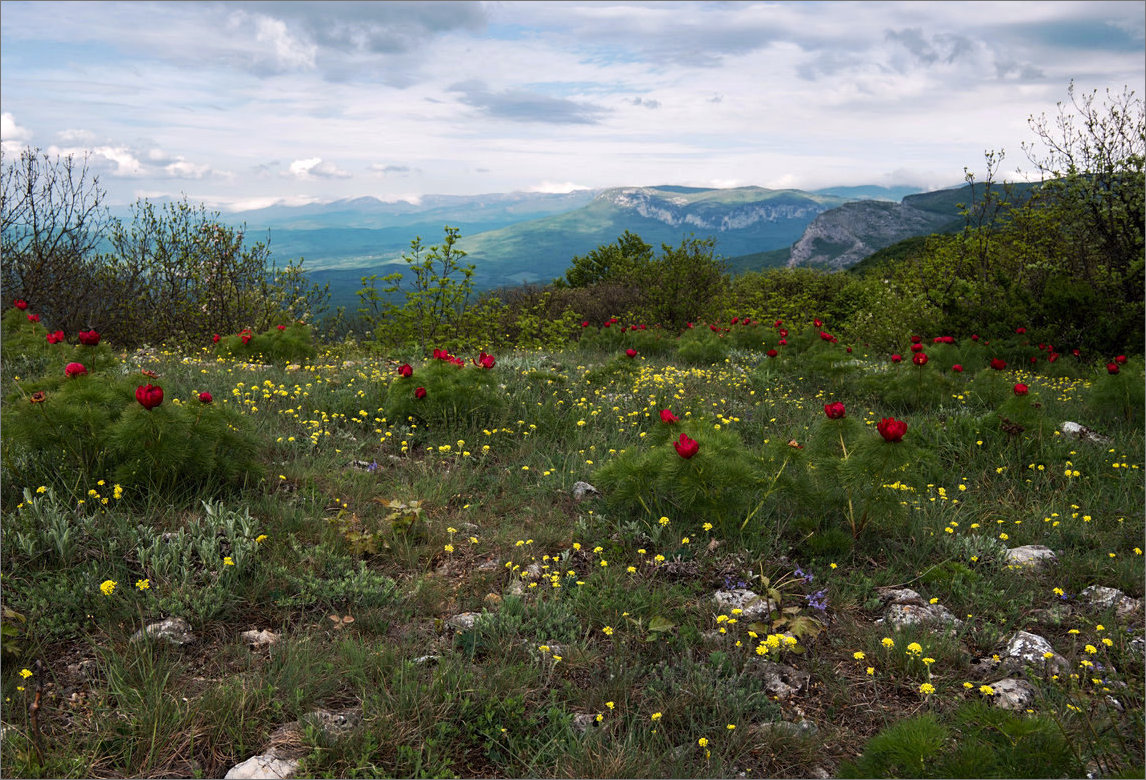 photo "***" tags: landscape, nature, 