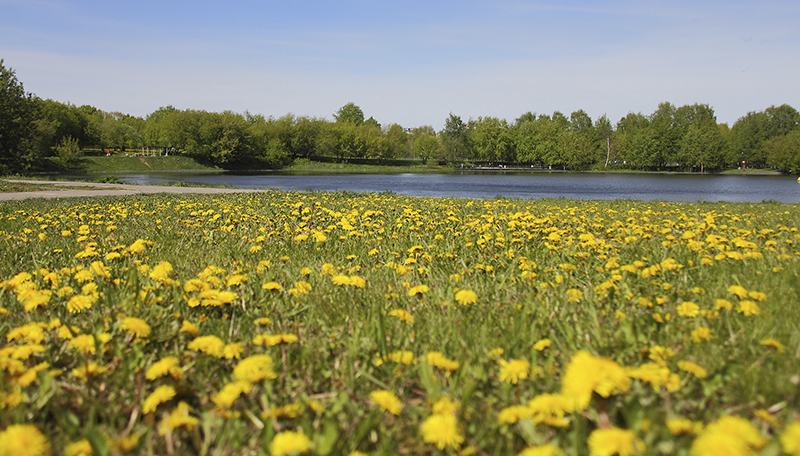 photo "***" tags: nature, landscape, 