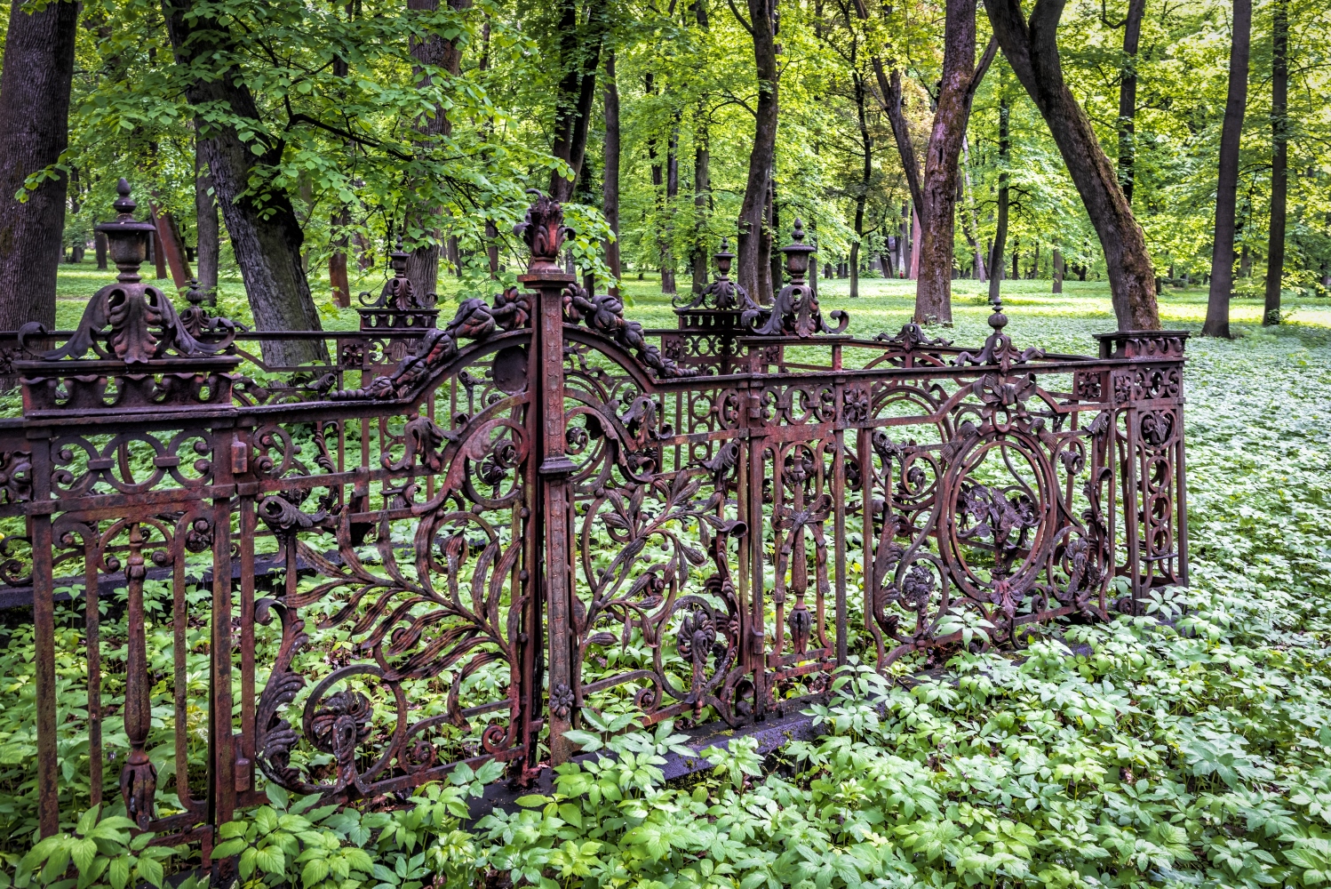 фото "Старая ограда" метки: разное, 