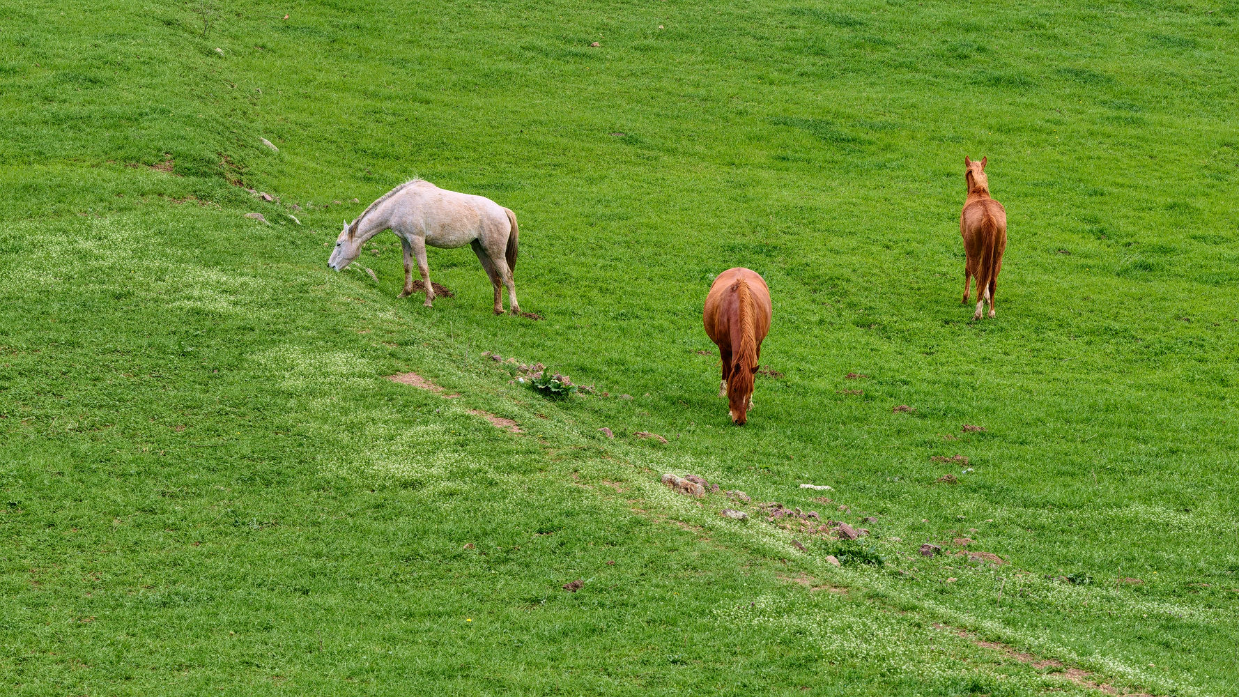 photo "***" tags: landscape, nature, 