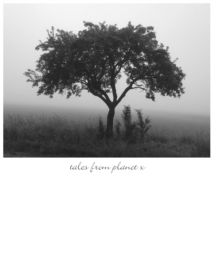 photo "tales from planet x" tags: landscape, nature, black&white, 