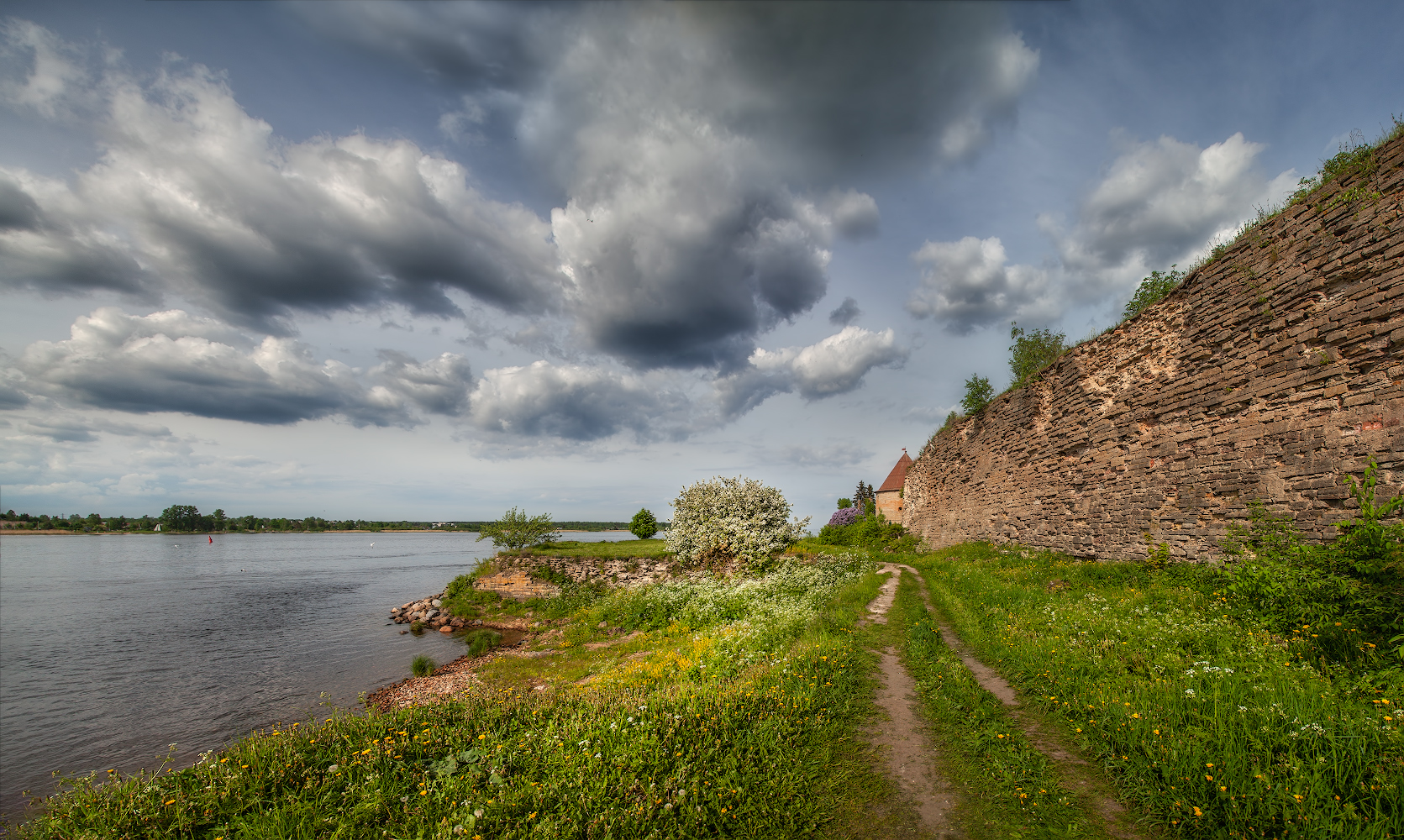 фото "Июньская весна" метки: пейзаж, 