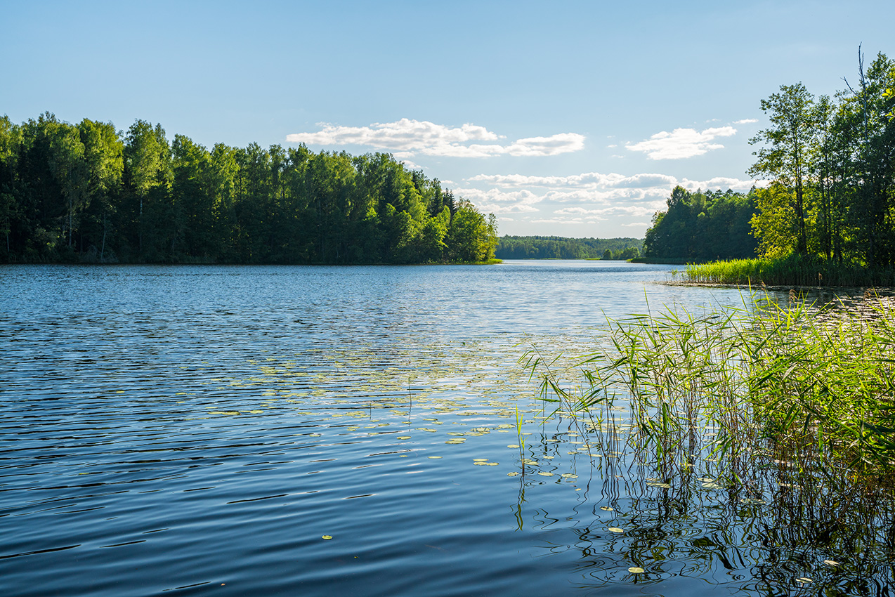 photo "***" tags: landscape, travel, nature, forest, lake, light, sky, summer, Беларусь, ландшафт