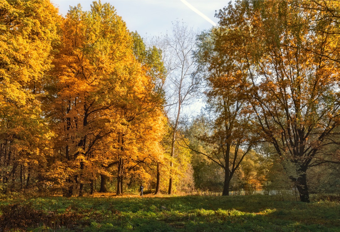 фото "***" метки: пейзаж, 