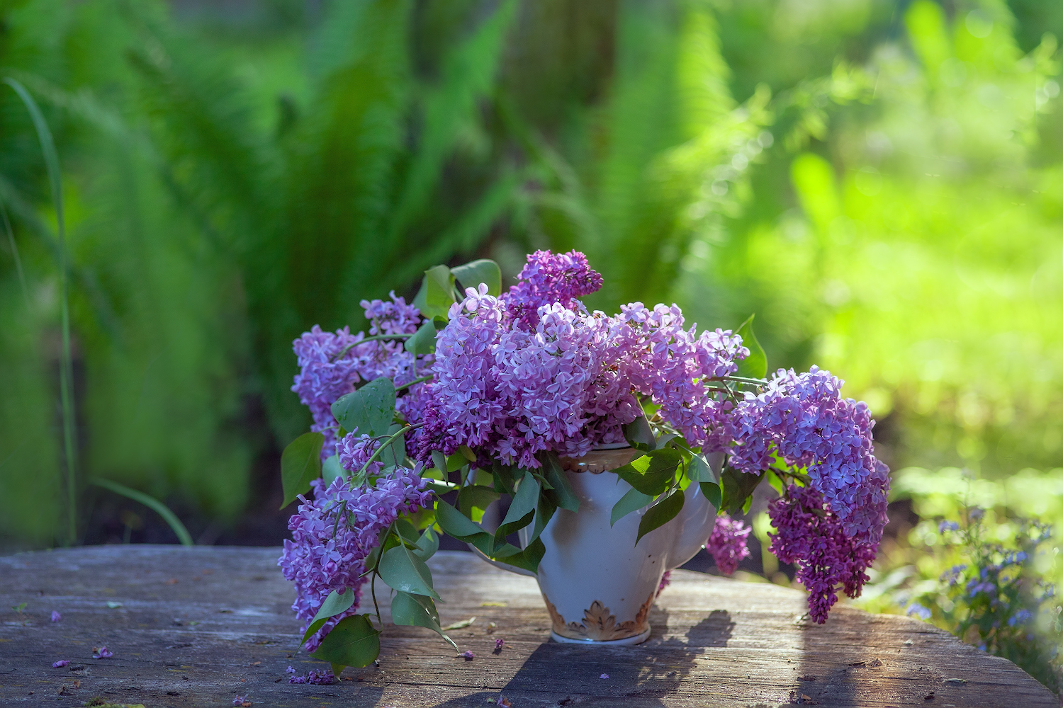 photo "***" tags: still life, 