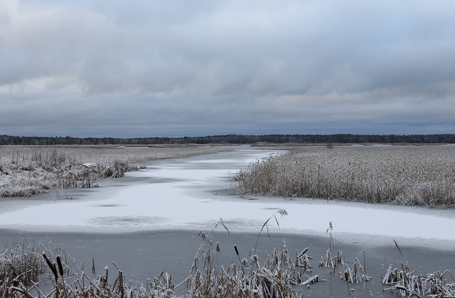 photo "***" tags: landscape, nature, 