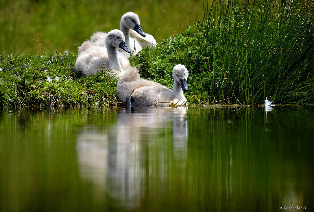 фото "***" метки: пейзаж, природа, натюрморт, 