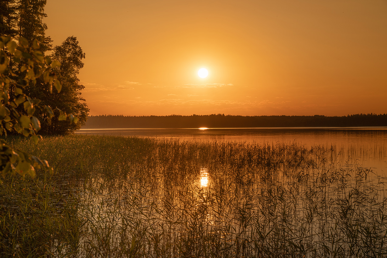 photo "***" tags: landscape, nature, travel, forest, lake, sky, Беларусь, ландшафт