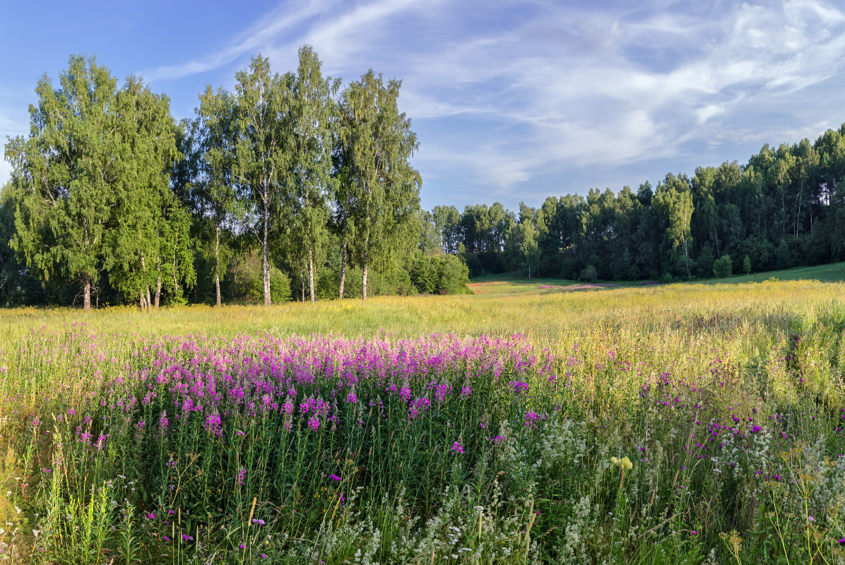 фото "***" метки: пейзаж, 