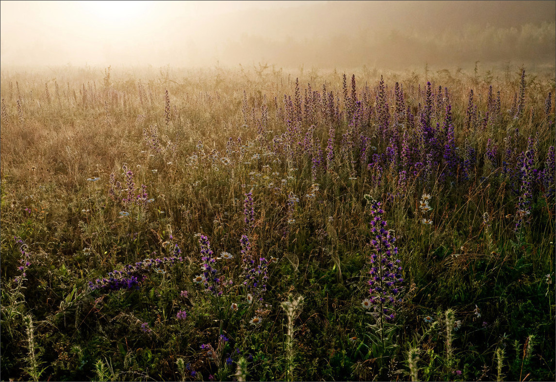 photo "***" tags: landscape, nature, 