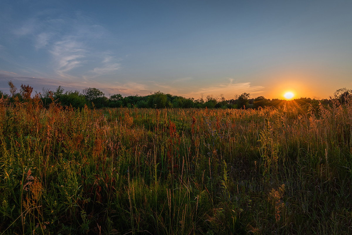 photo "***" tags: landscape, 