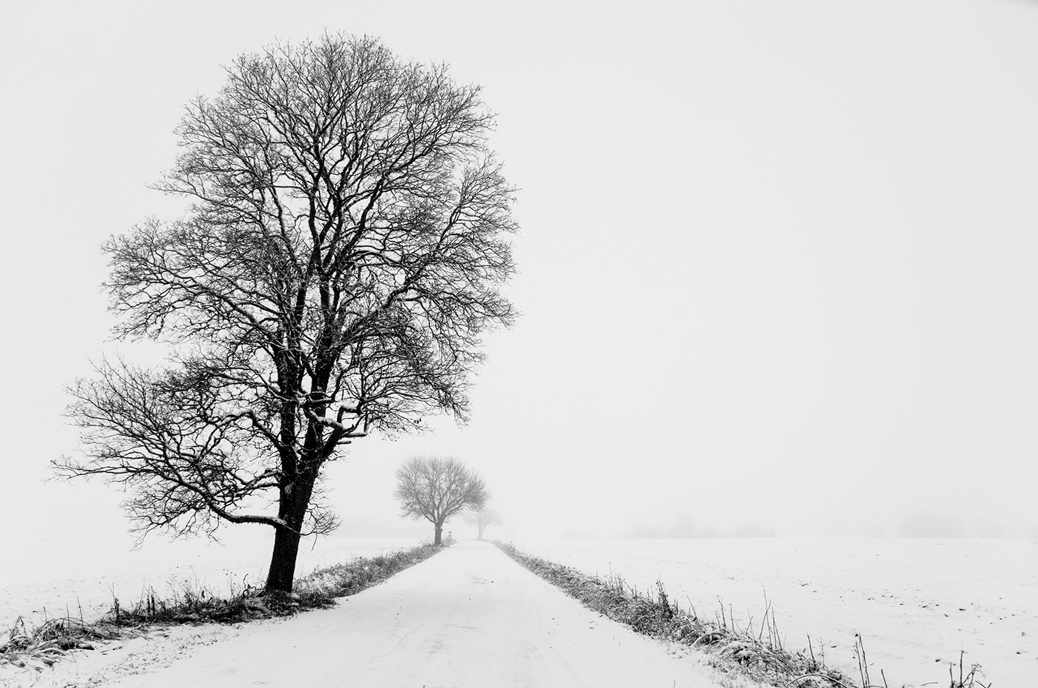 фото "***" метки: пейзаж, 