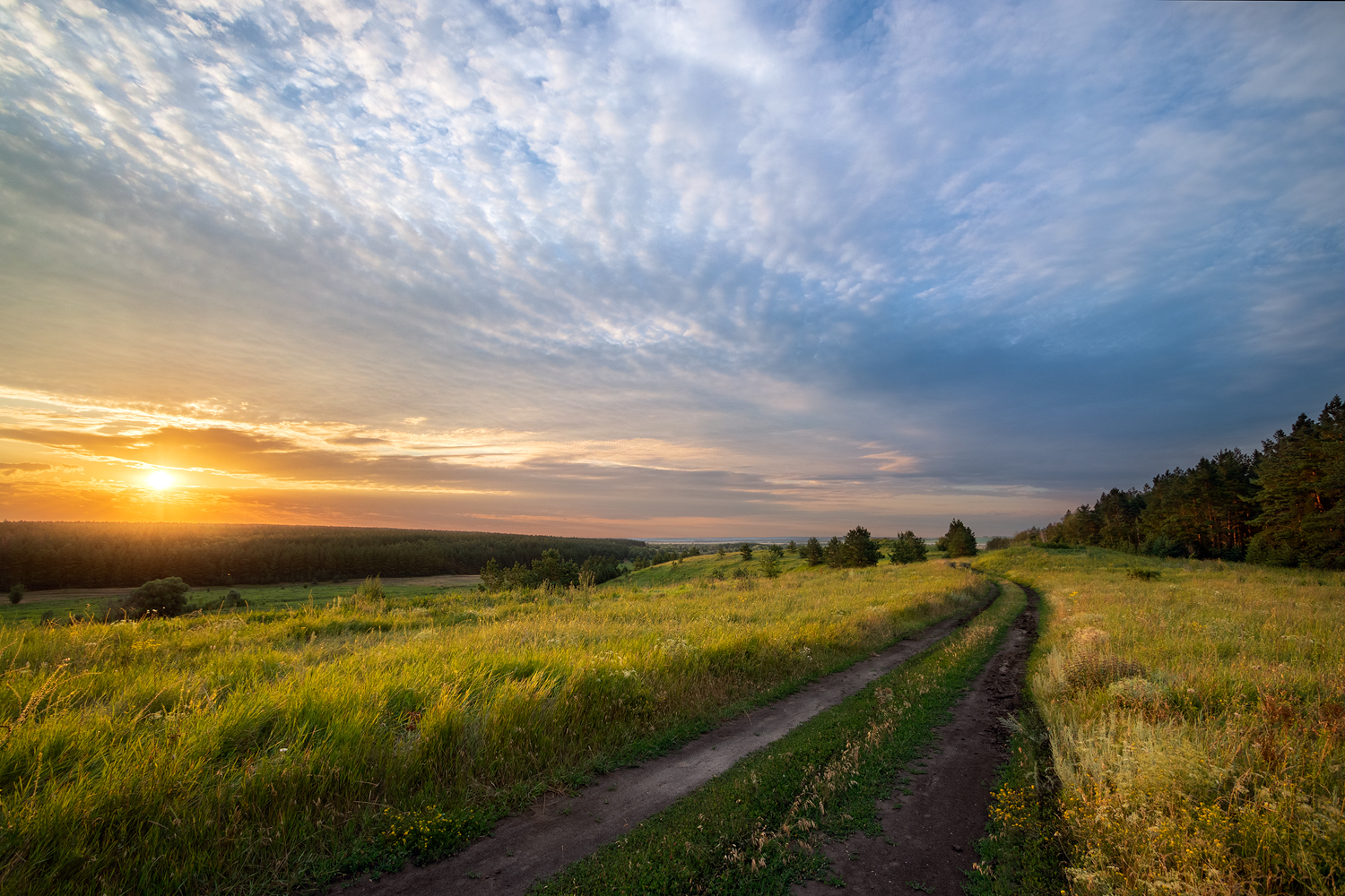 photo "***" tags: landscape, 