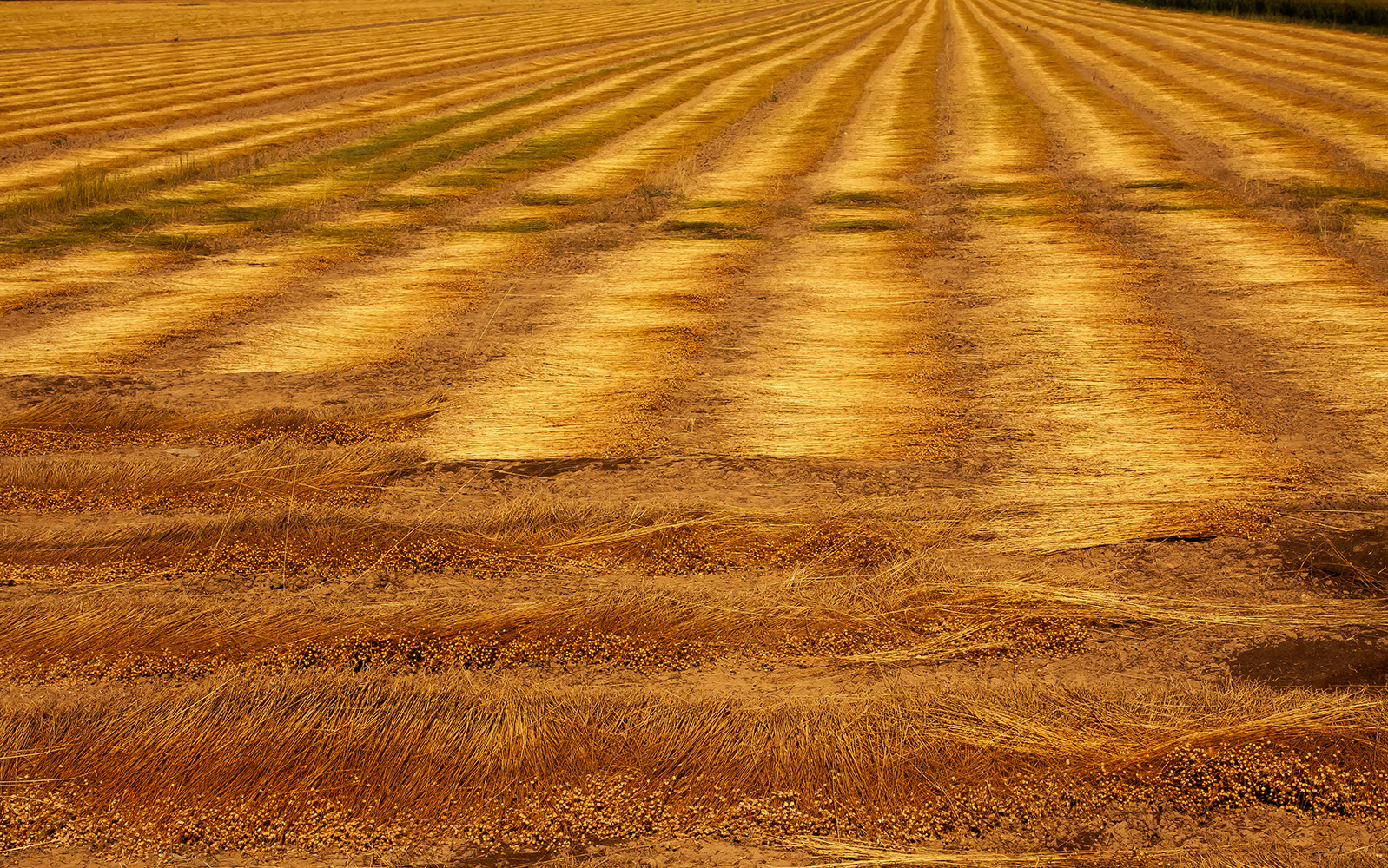 фото "***" метки: , 