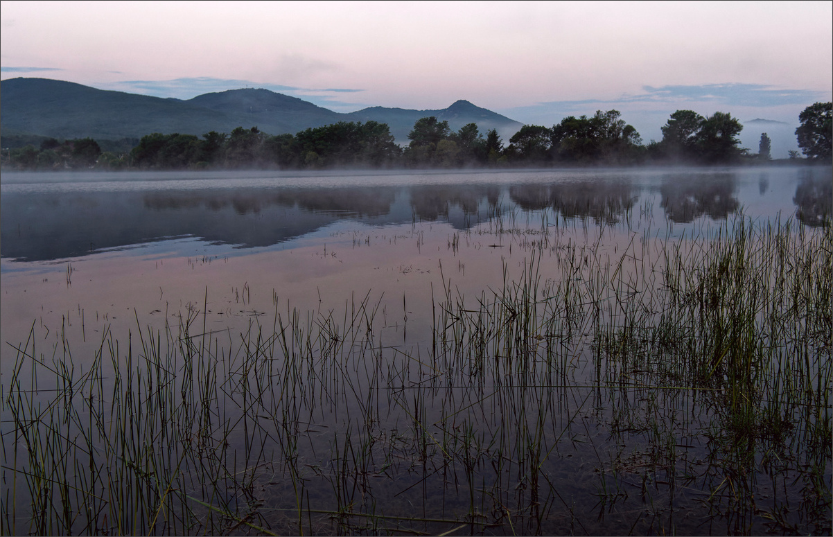 photo "***" tags: landscape, nature, 