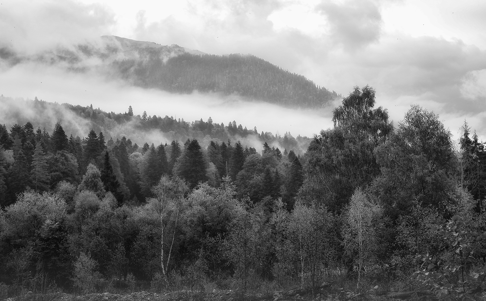photo "***" tags: , 