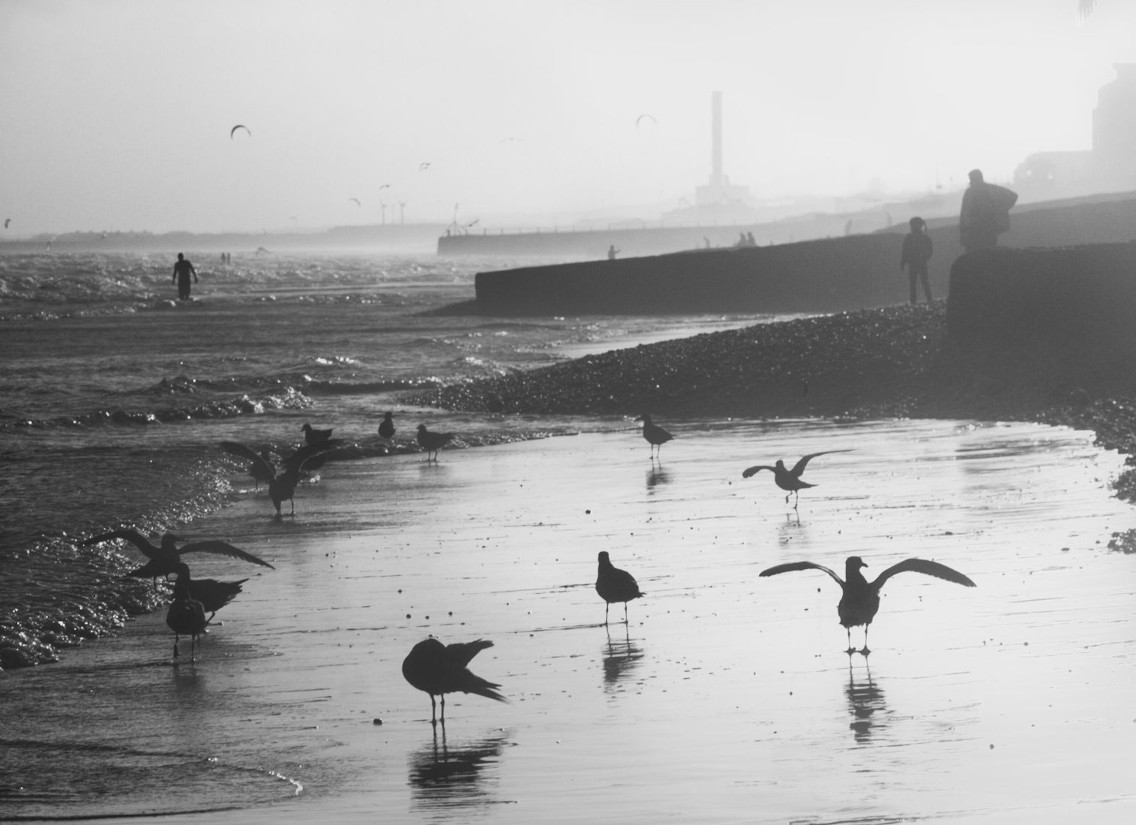 photo "Brighton Central Beach" tags: reporting, travel, beach, coast, sunset, Великобритания, чайки