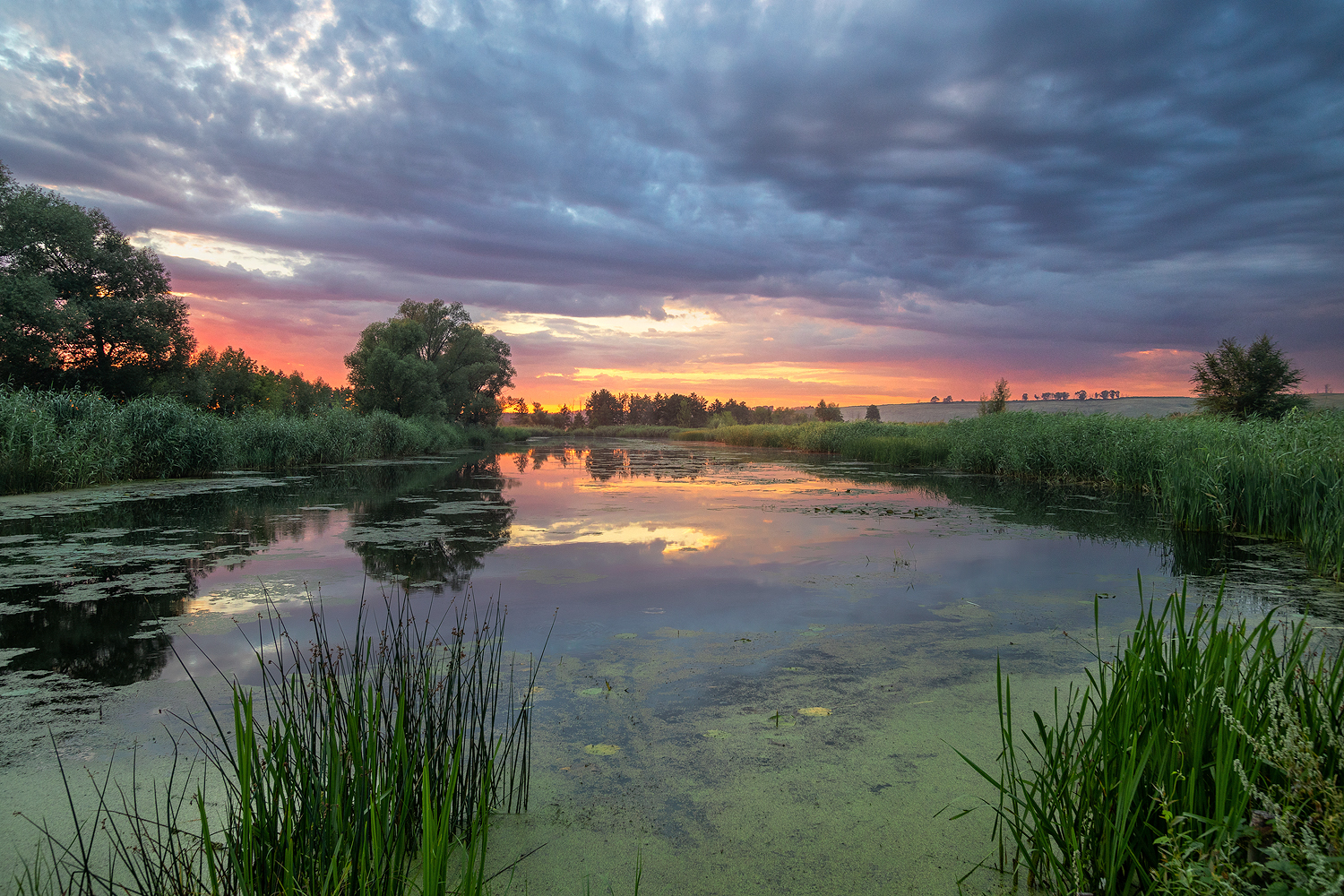 фото "***" метки: пейзаж, 