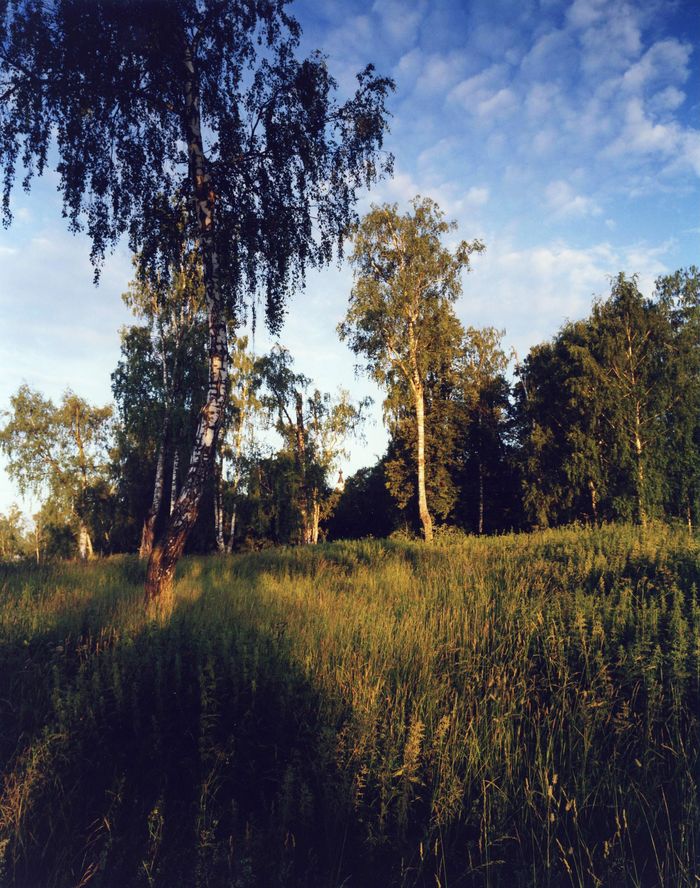 photo "***" tags: , 