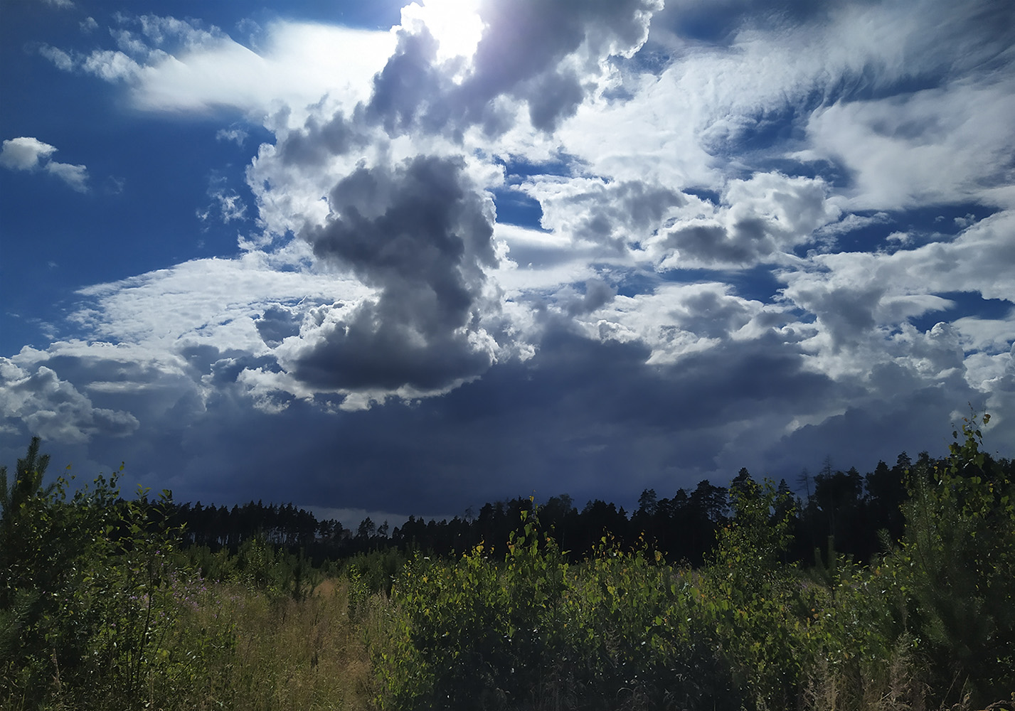 photo "***" tags: nature, landscape, light, storm cloud, в лесу, гроза, игра света, облако, шторм