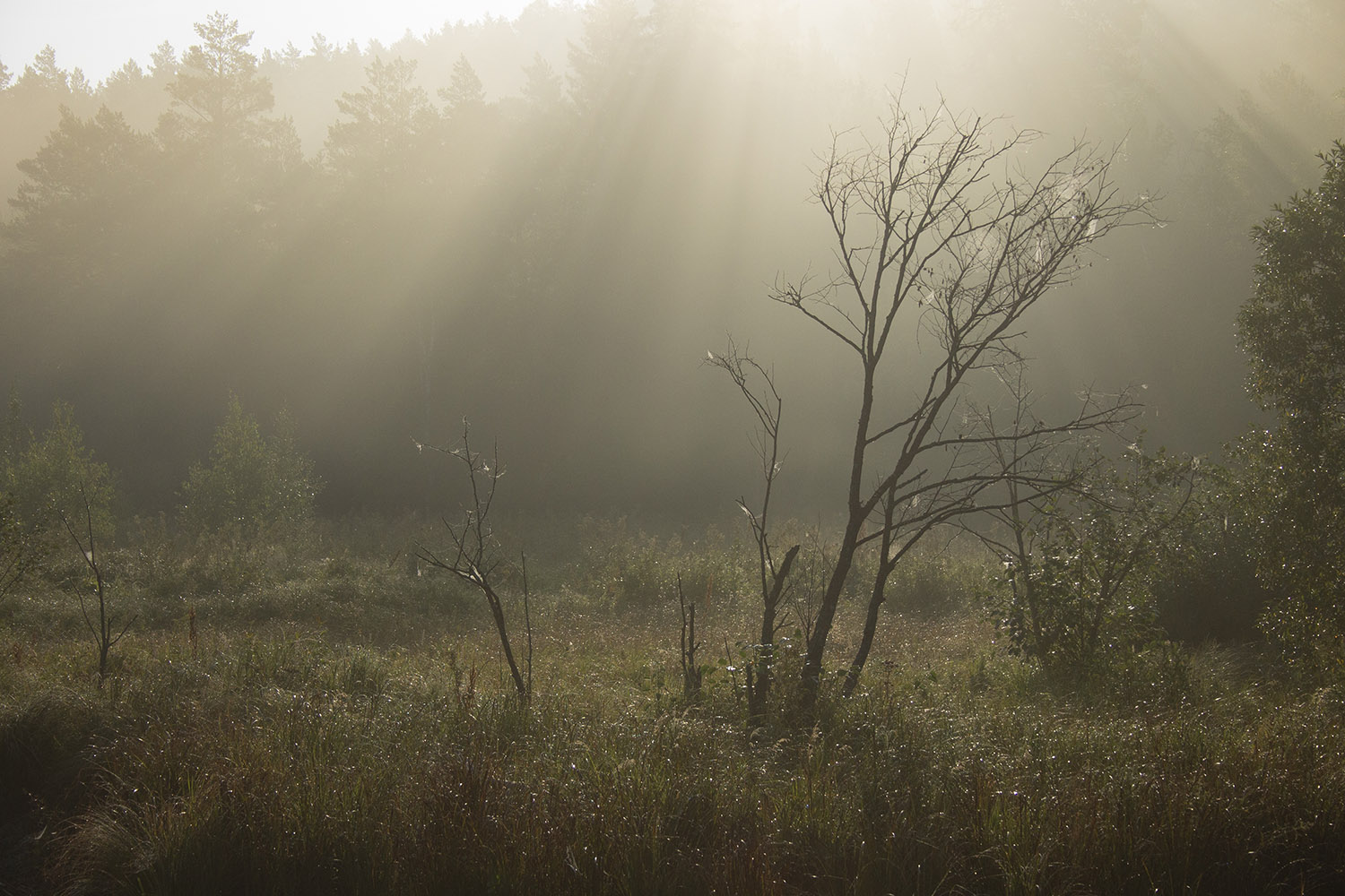 photo "***" tags: landscape, travel, nature, 