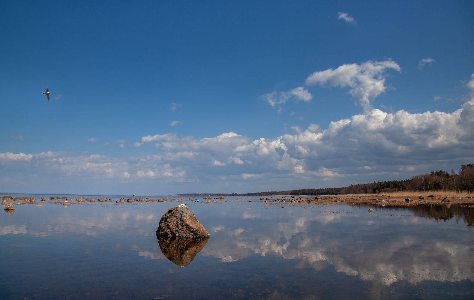 фото "***" метки: пейзаж, 