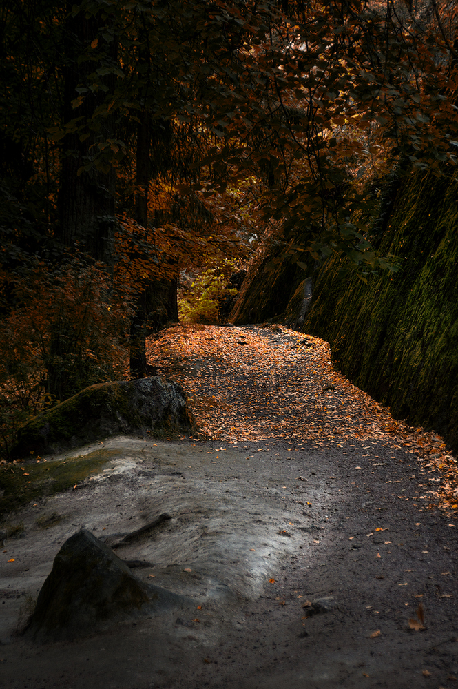 photo "***" tags: landscape, travel, Russia, Sony-a580, St. Petersburg, autumn, Выборг, листва