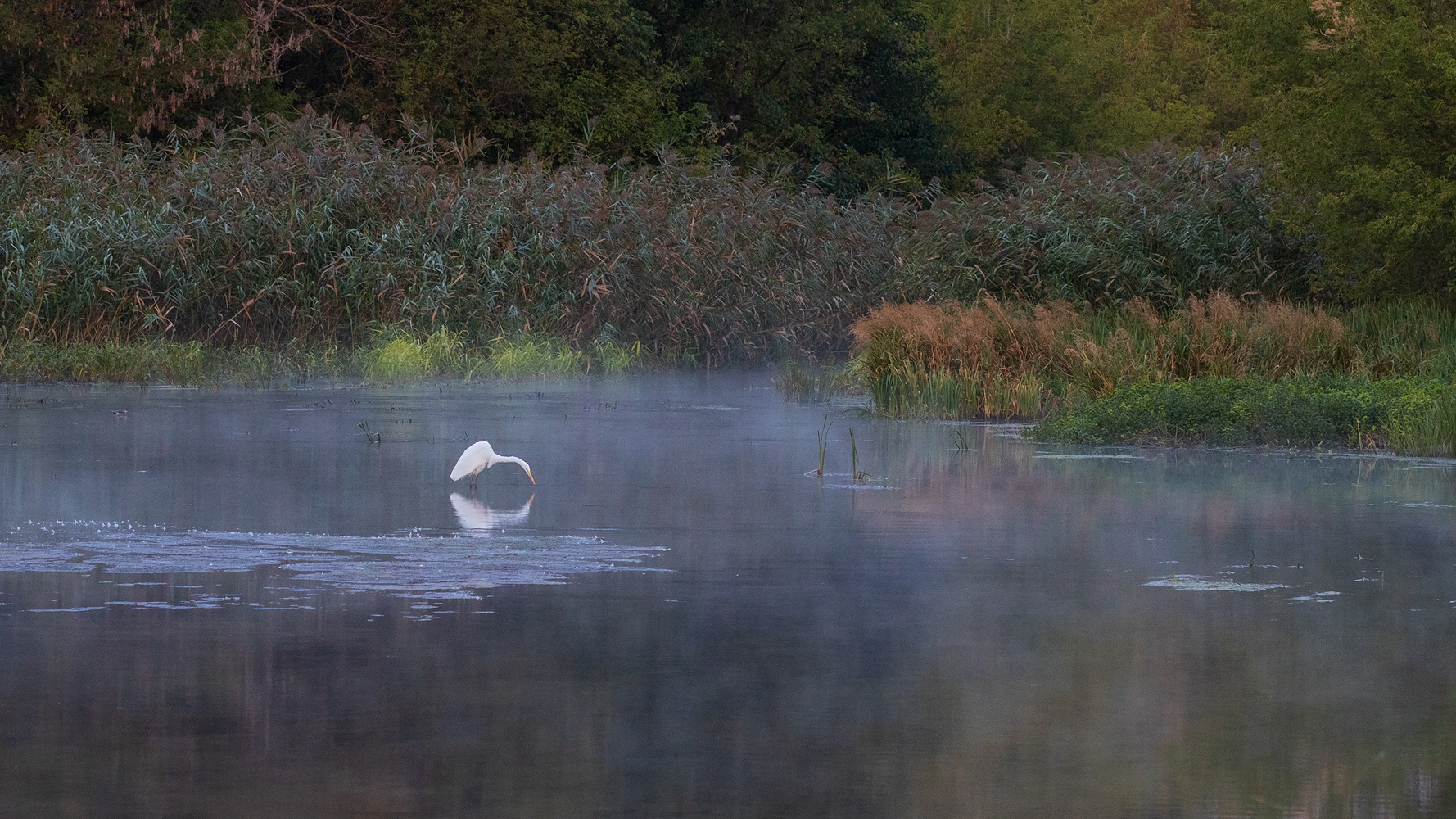 photo "***" tags: landscape, nature, 