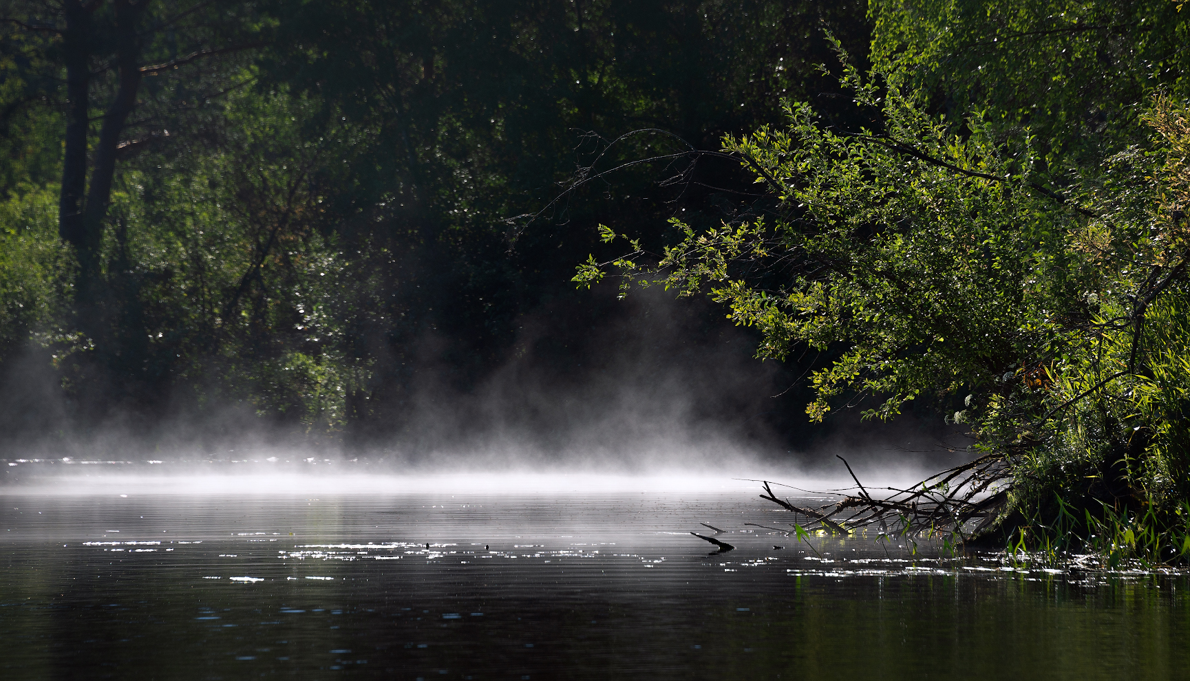 фото "Smoke on the water" метки: фрагмент, природа, 