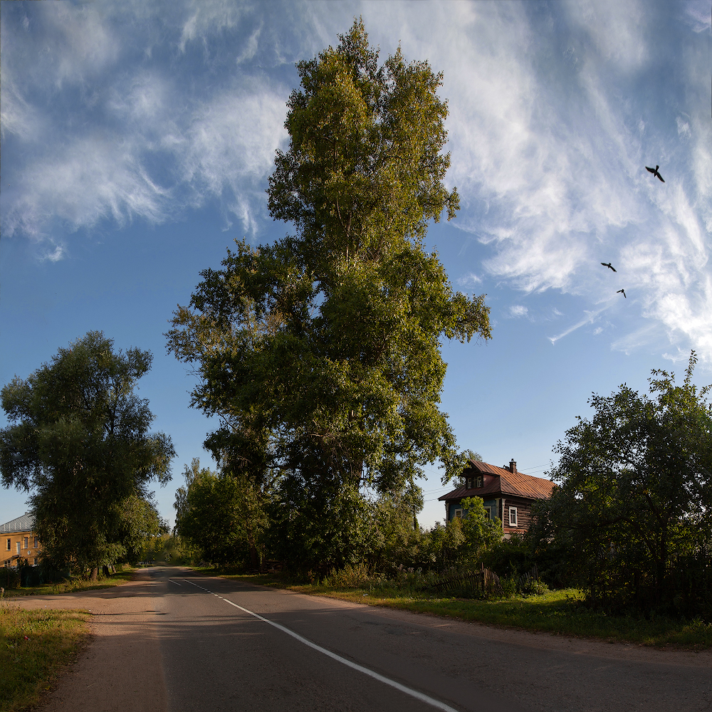 photo "***" tags: landscape, 