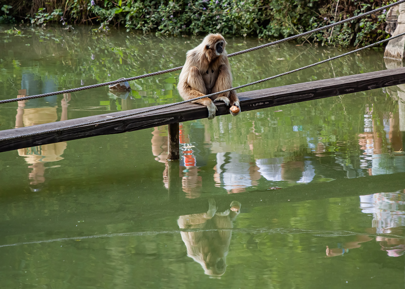 фото "upside down" метки: , 