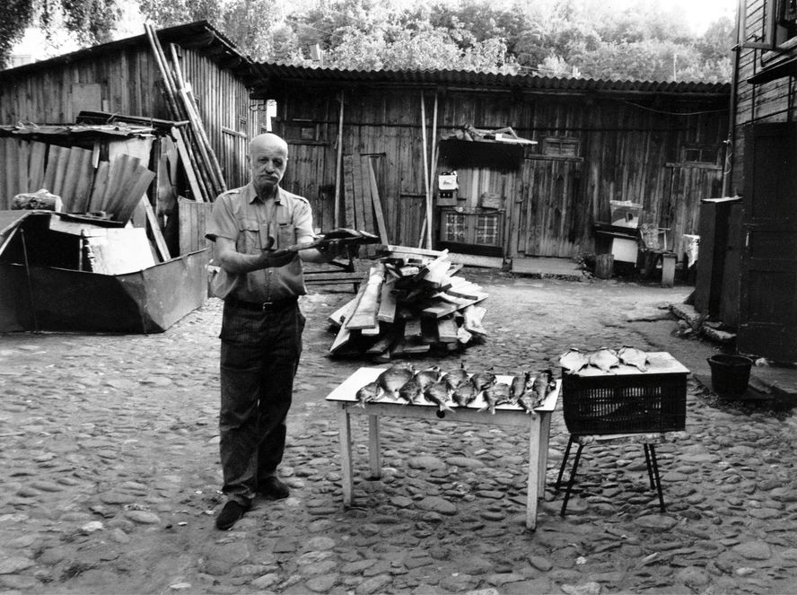 фото "Вкуснее рыбки нет (из альбома "Письма из Плёса")" метки: , 
