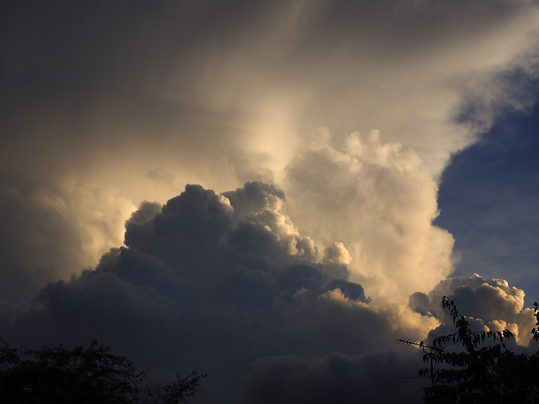 photo "Before the rain" tags: nature, landscape, reporting, 