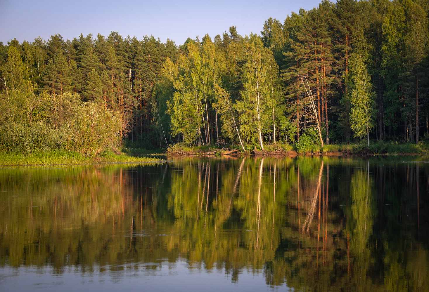photo "***" tags: landscape, 