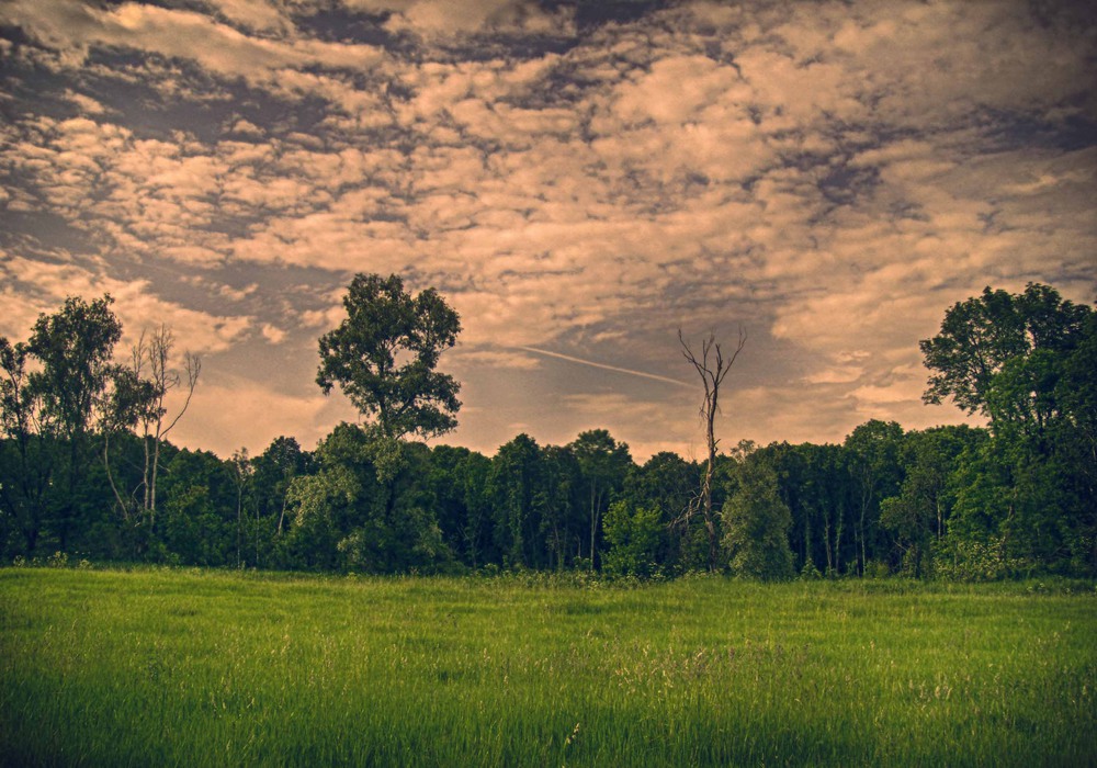 photo "***" tags: landscape, nature, clouds, evening, meadow, sky, summer, sunset, даль