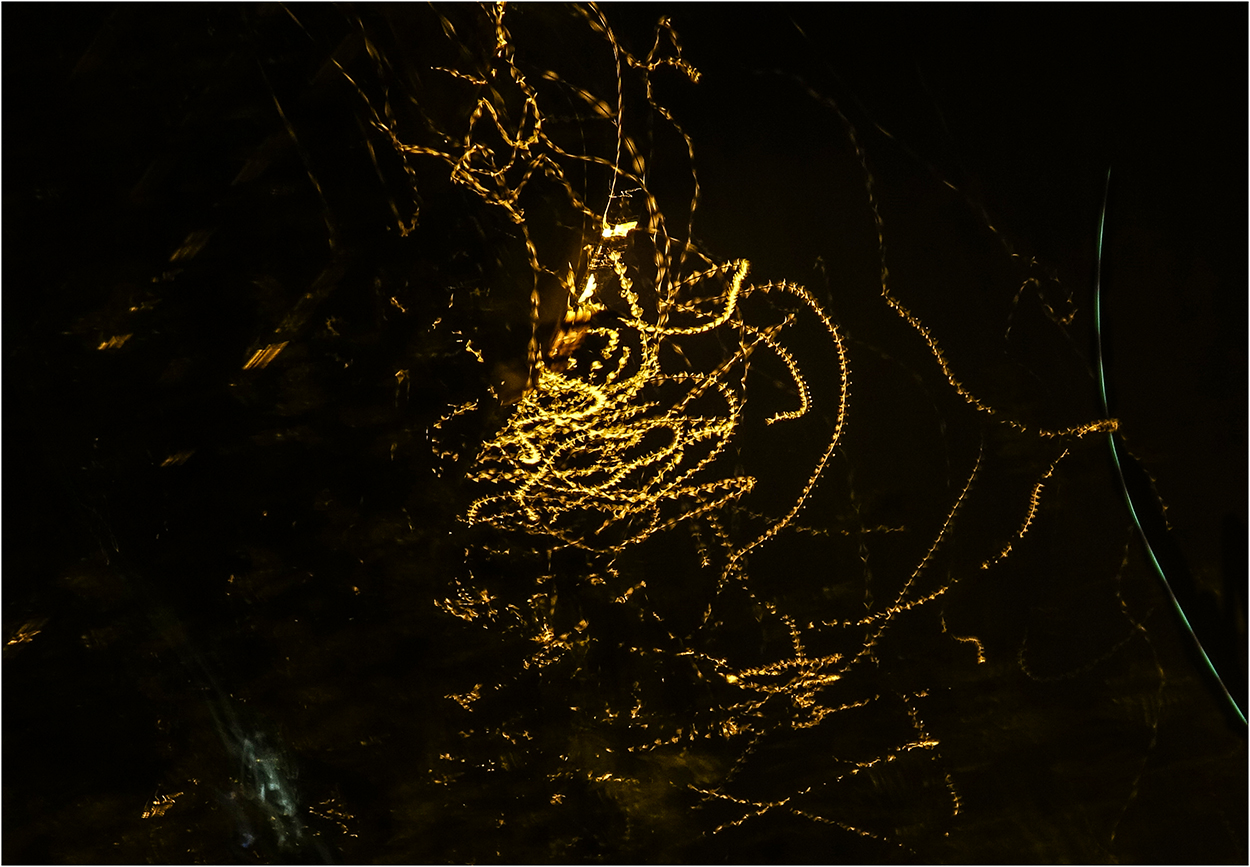 photo "Night life" tags: abstract, night, полёт бабочки, траектория