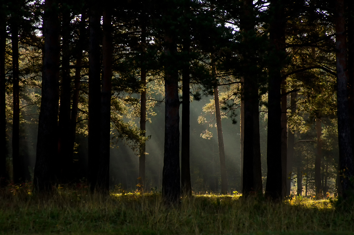 фото "Утренний свет" метки: пейзаж, Sony-a580, minolta 70-210, Валёгин Бор, Нижний Тагил, Свердловская область