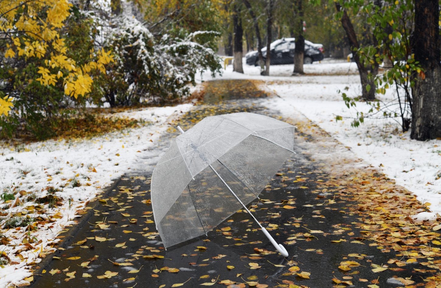 photo "***" tags: street, autumn, road, snow, желтые листья, зонт