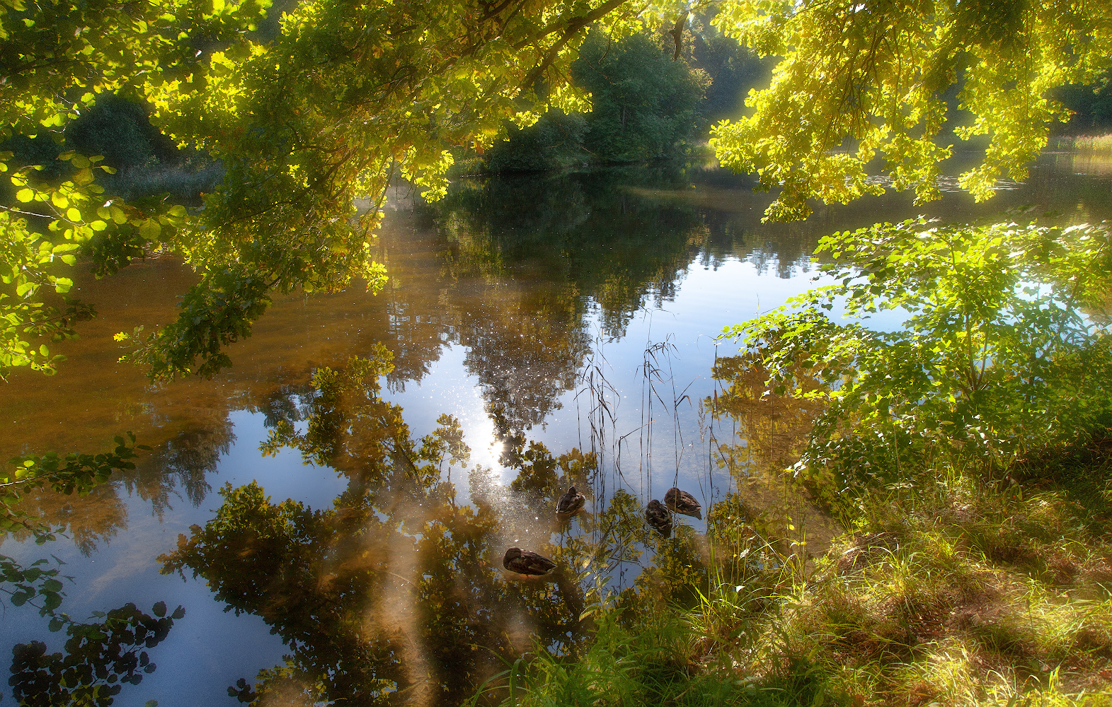 photo "***" tags: landscape, 