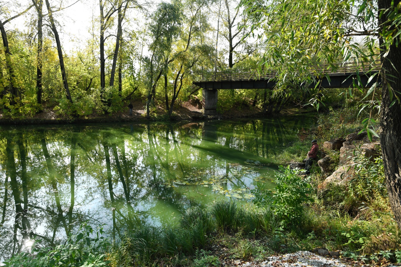 photo "***" tags: nature, landscape, autumn, bridge, forest, reflections, river, water, рыбаки, рыбалка