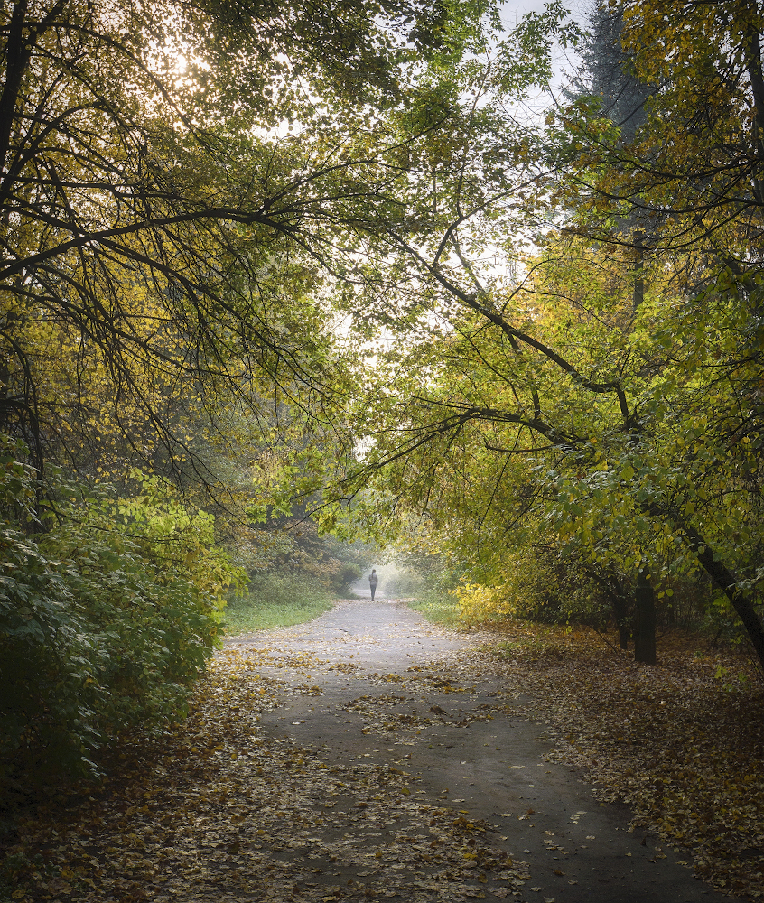 photo "***" tags: landscape, street, 