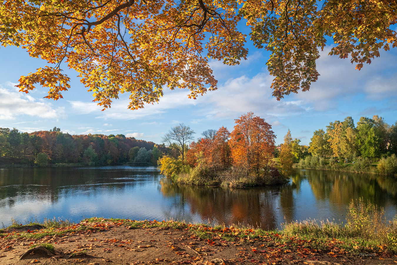 photo "***" tags: landscape, autumn