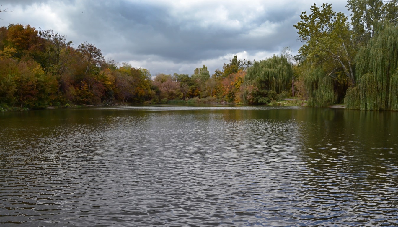 photo "***" tags: , 