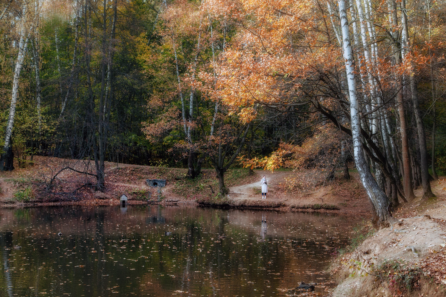 фото "Девушка и осень..." метки: пейзаж, 