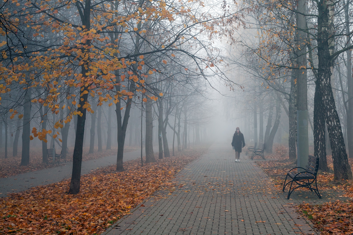 фото "Когда город растворяется в тумане" метки: пейзаж, стрит-фото, 