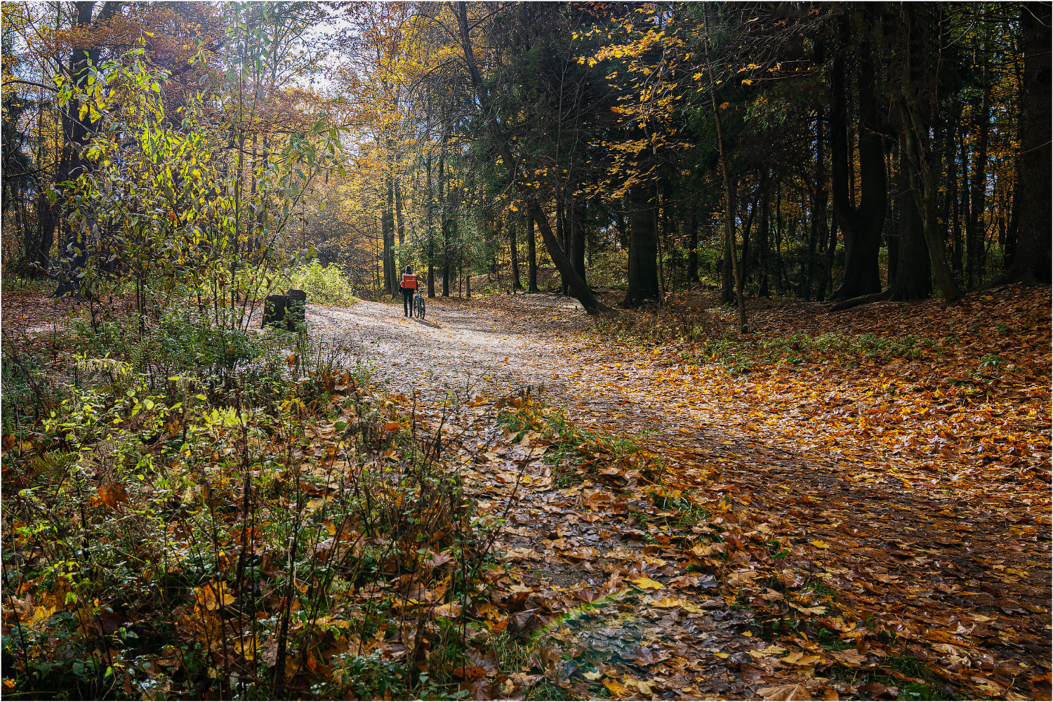 photo "***" tags: landscape, autumn