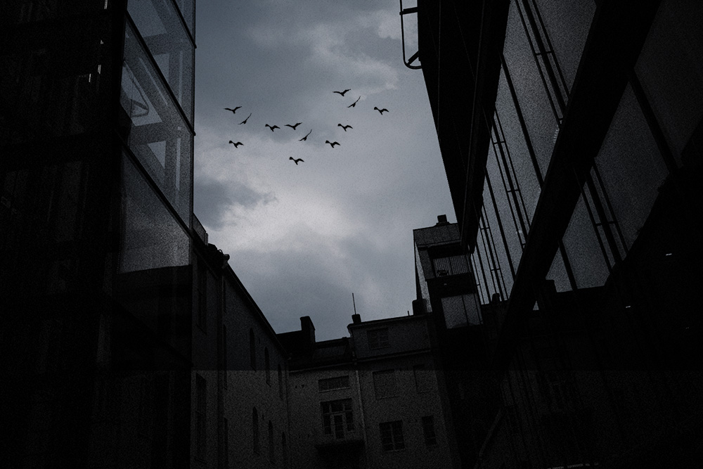 фото "***" метки: , 