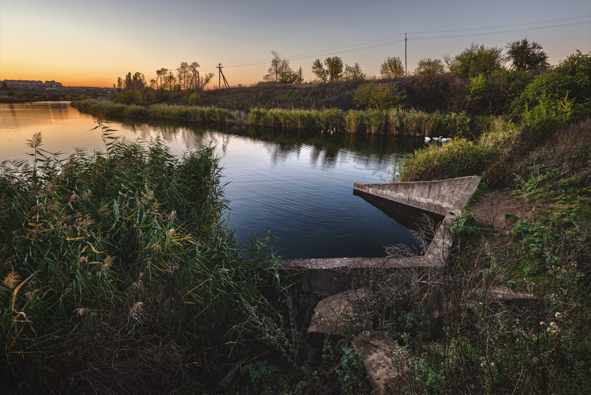 photo "Autumn evening on the pond" tags: landscape, nature, autumn, pond, лебеди