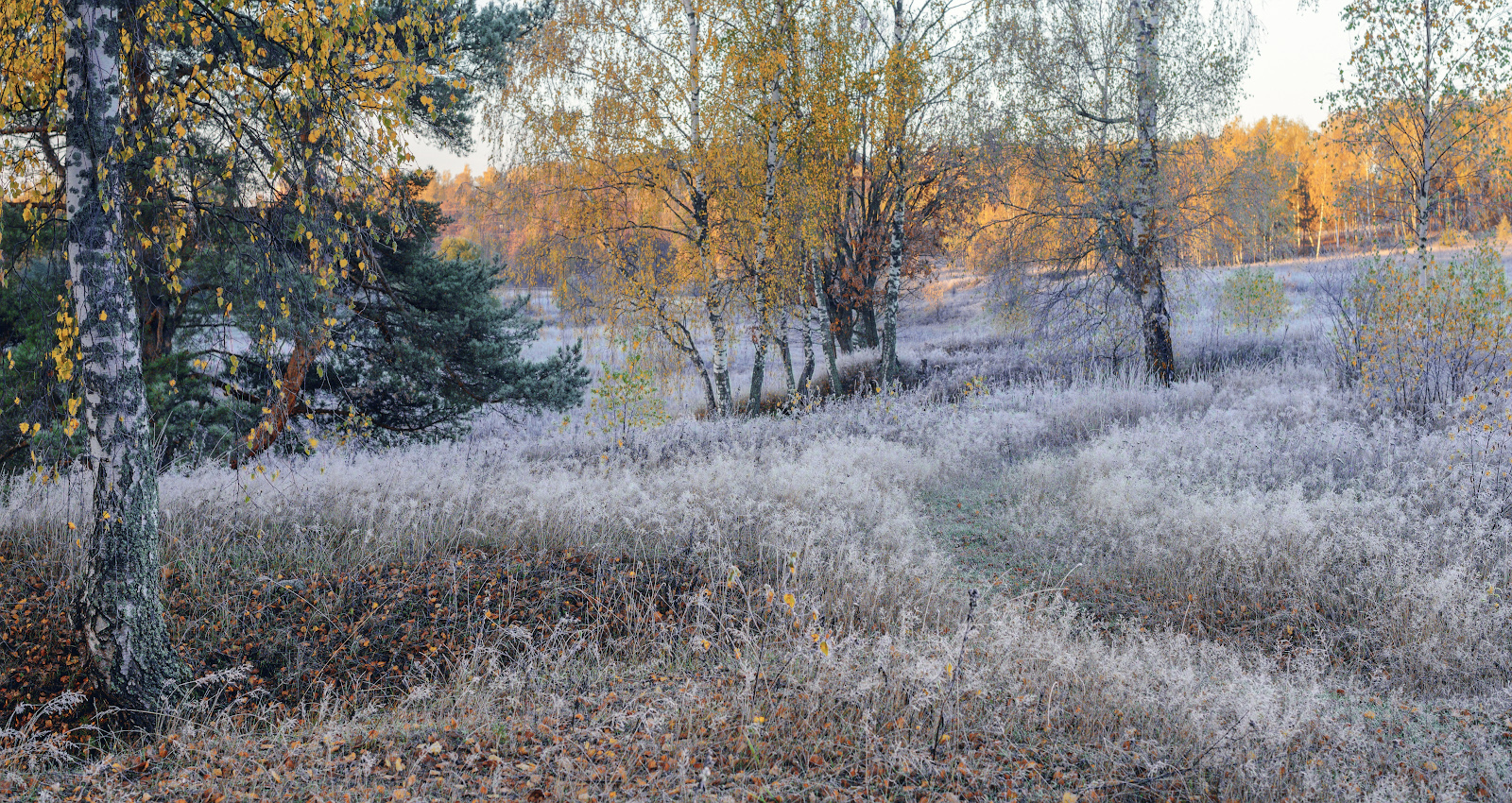 фото "***" метки: пейзаж, 