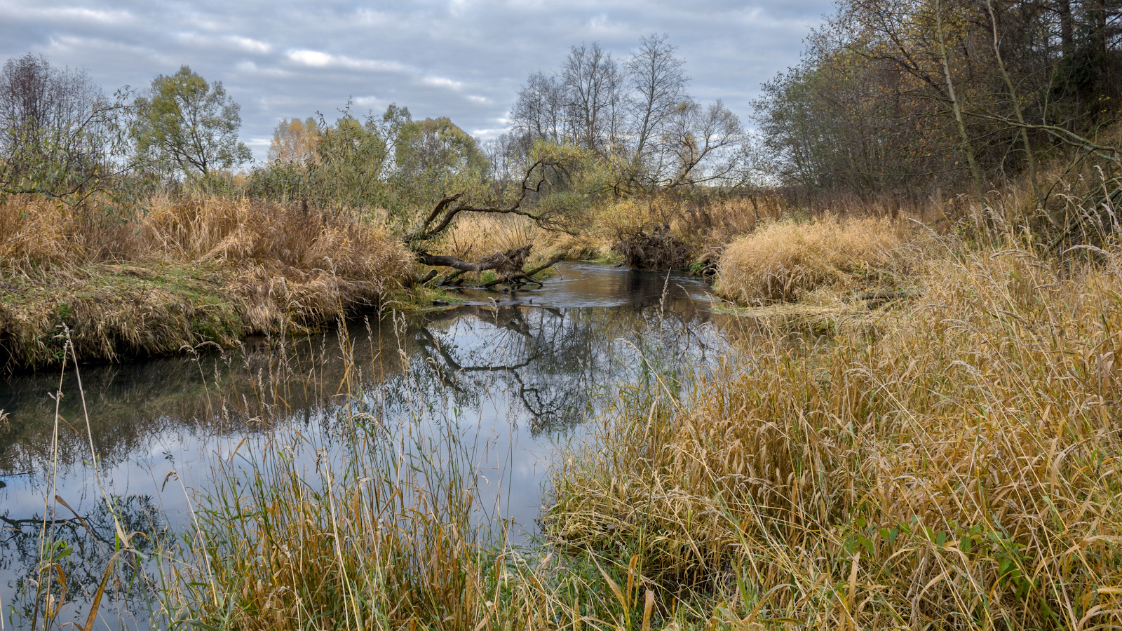 photo "***" tags: nature, landscape, 